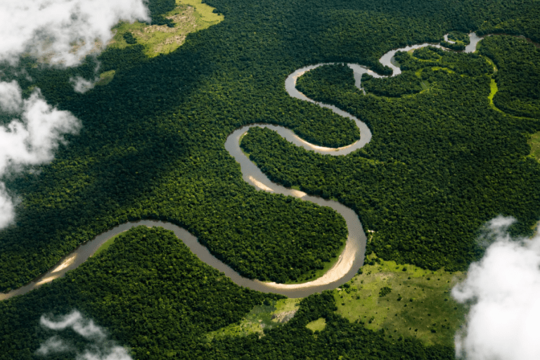 image_congo_river_afoyo_safaris