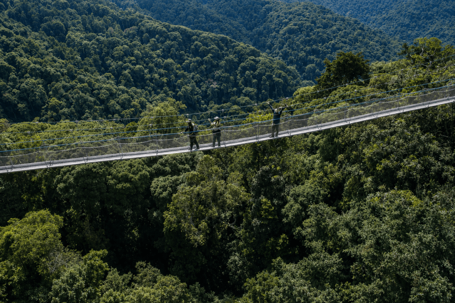 Nyungwe Forest National Park