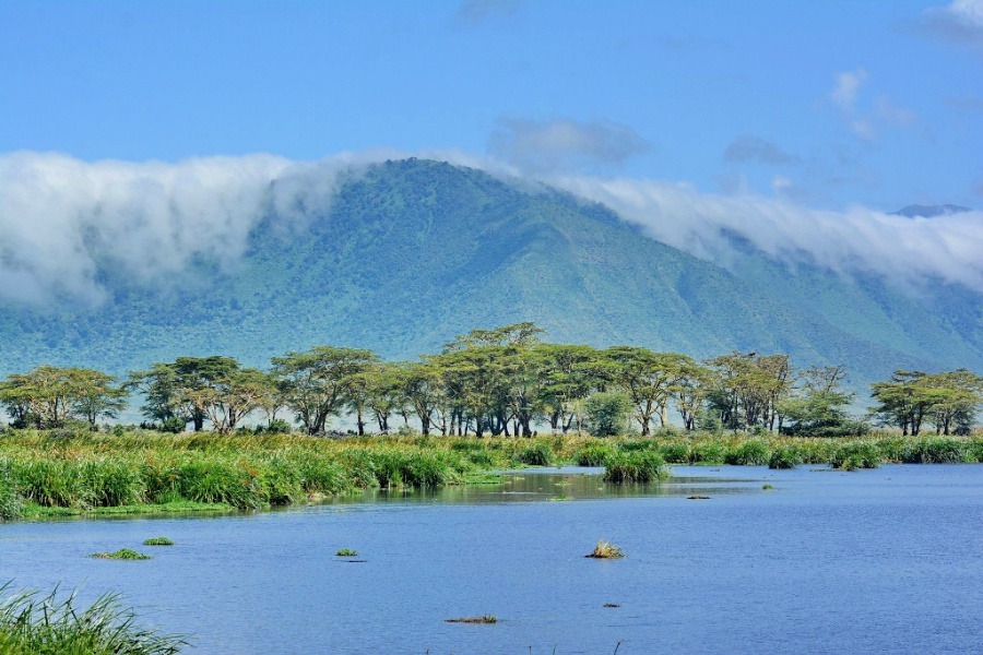Ngorongoro Crater Safari Tour