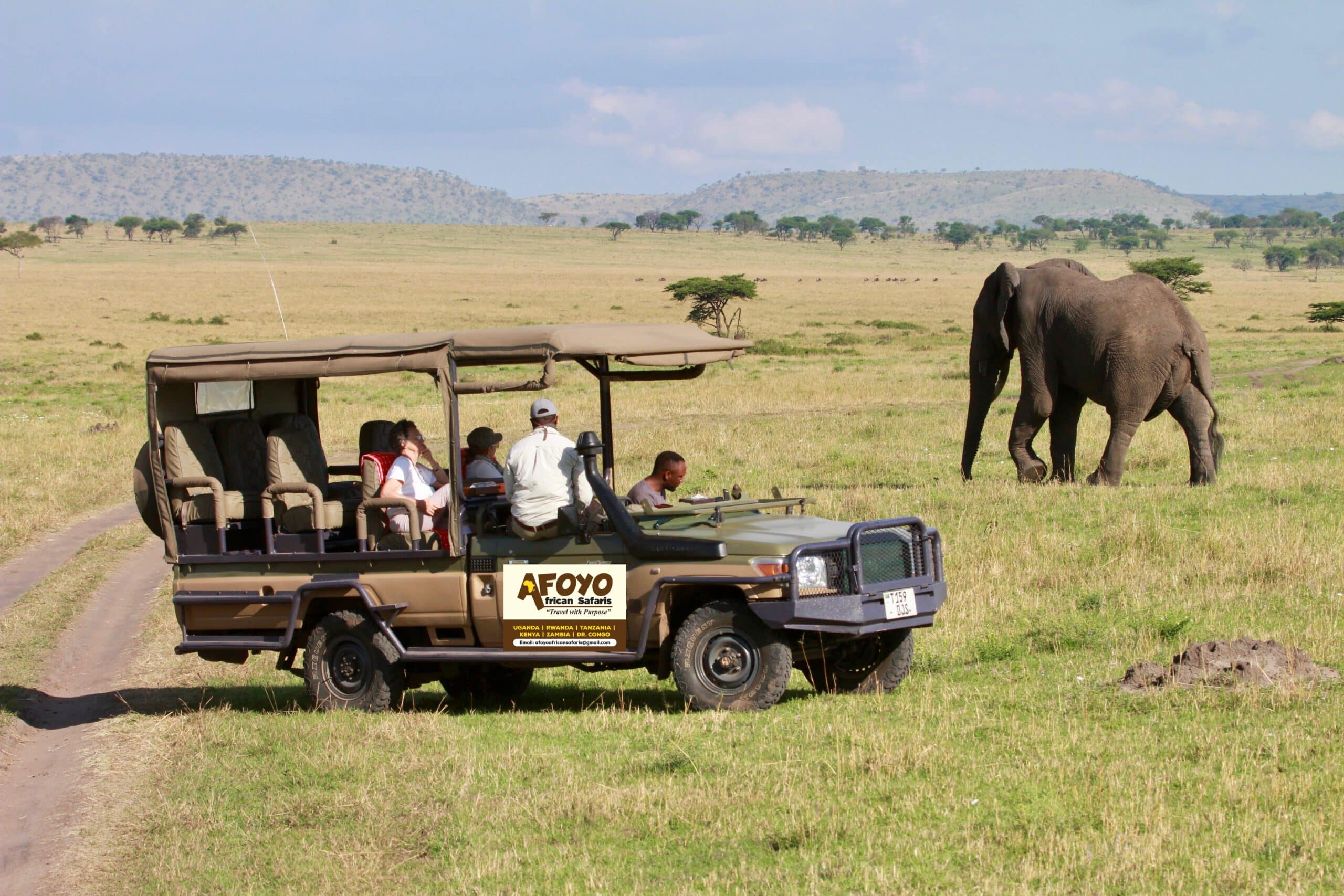 Budget Tanzania Safari